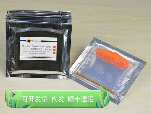 BeyoGel™ SDS-PAGE预制胶(Tris-Gly, 10%, 12孔) 生物