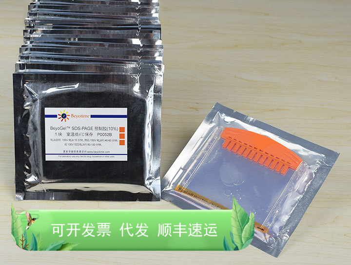 BeyoGel™ SDS-PAGE预制胶(Tris-Gly, 10%, 12孔) 碧云天生物