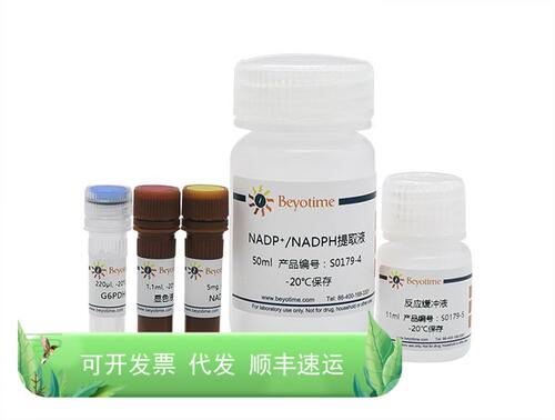 NADP+/NADPH检测试剂盒(WST-8法) S0179 碧云天生物 Beyotime