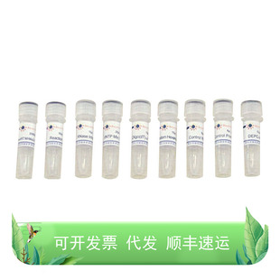 BeyoRT™ RNase cDNA第一链合成试剂盒