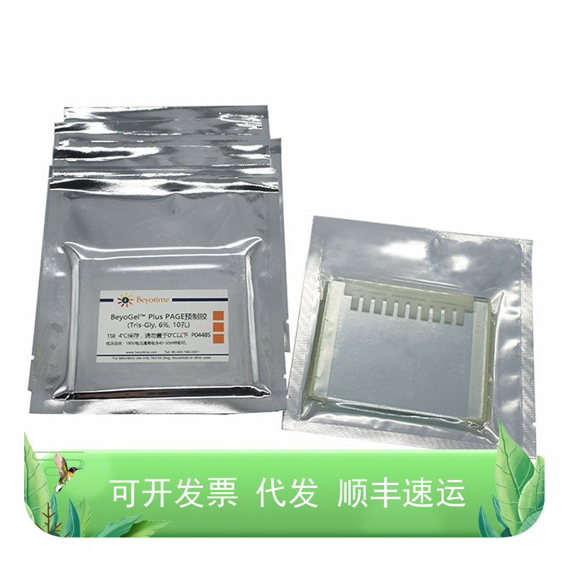 BeyoGel™ Plus PAGE 预制胶 Tris-Gly 6% 8% 10%  12%  15%