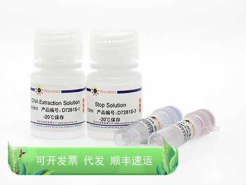 动物组织直接PCR试剂盒 D7281S 碧云天生物 Beyotime
