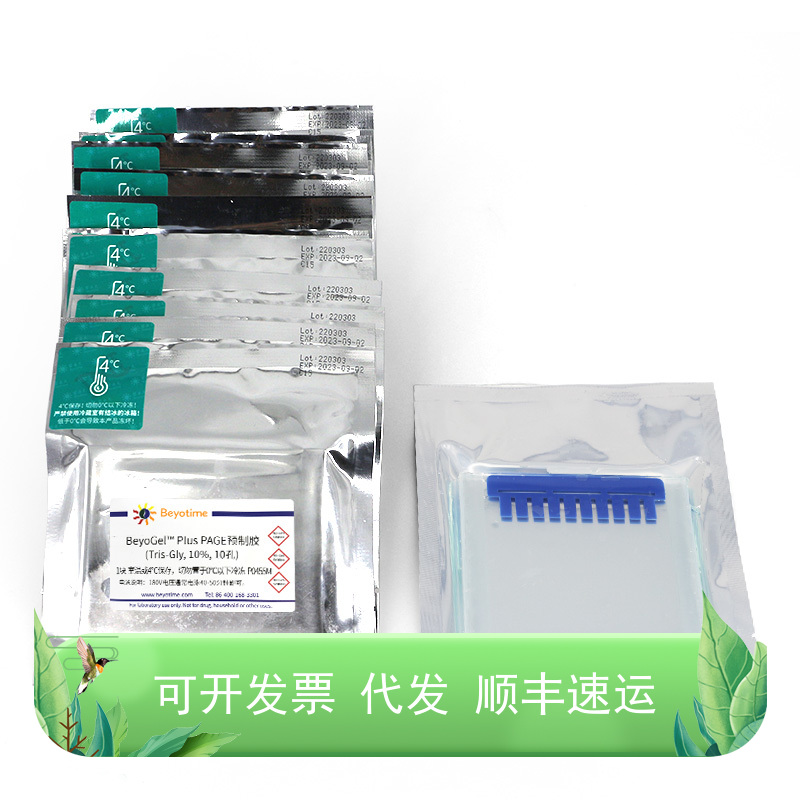 BeyoGel™ Plus PAGE预制胶(Tris-Gly, 10%, 10孔)