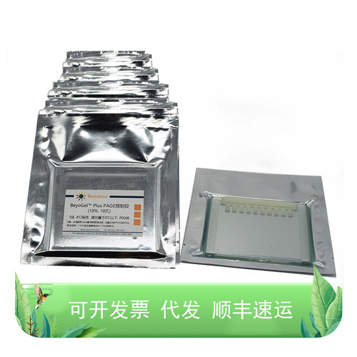 BeyoGel™ Plus PAGE预制胶(Hepes, 10%, 10孔)