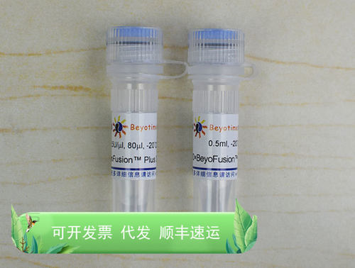 BeyoFusion™ Plus DNA Polymerase D7222 生物 Beyotime