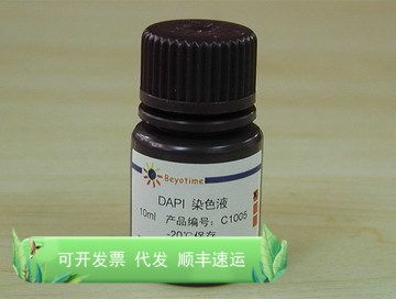 DAPI染色液 C1005 碧云天生物 Beyotime