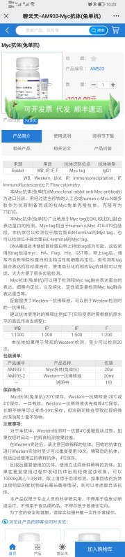 Myc抗体(兔单抗)
