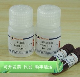 Caspase 9 活性检测试剂盒 C1157 碧云天生物 Beyotime