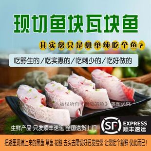 【鲜鱼块顺丰】新鲜鱼排瓦块鱼中段野生黑鱼草鱼花莲鱼块半成品