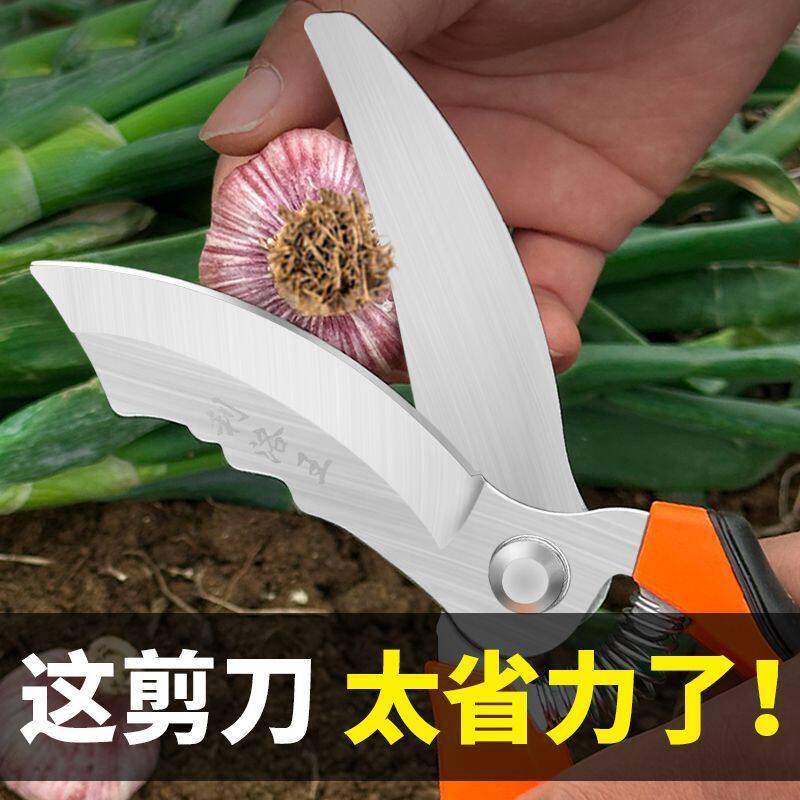 大蒜剪圆葱专用剪刀农用干湿蒜杆胡蒜头须工具生姜大葱洋葱剪神器