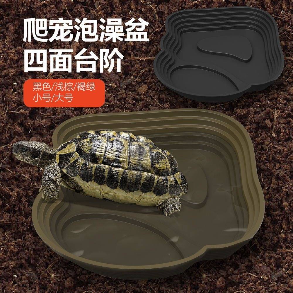 乌龟泡澡盆黄缘半水龟专用水盆食盆爬宠喝水洗澡盆小水池散养龟用