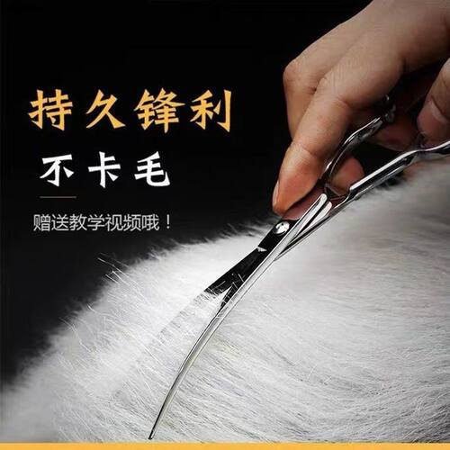 宠物修毛剪狗狗剪毛工具套装专业美容剪刀直弯剪泰迪比熊理发神器
