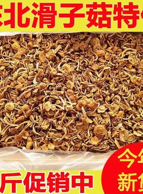 东北特产滑子菇小黄蘑滑菇