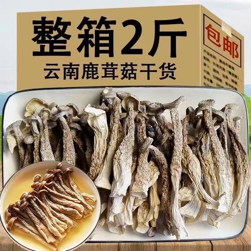 足斤鹿茸菇干货净重袋装无碎古田食用农产品煲汤菌菇食用