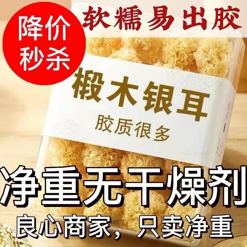 【净重无干燥剂】古田农家椴木小银耳新货白木耳雪耳无熏硫软糯出