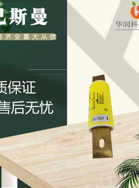 全新原装巴斯曼 GBSF-100  LPJ-125SP限流熔断器  电子元器件直销