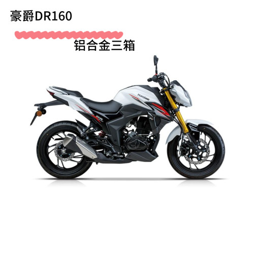 适用豪爵DR300 摩托车边箱侧箱铝合金快拆防水摩旅三箱