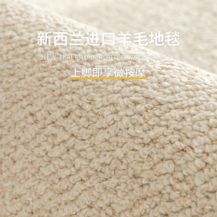 进口羊毛地毯大宅标配耐脏宝藏毯纯色侘寂客厅卧室轻奢高级茶几毯