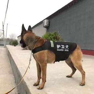 2024新款宠物春秋冬季背心巡逻护卫德牧马犬大狗保暖执勤加厚衣服