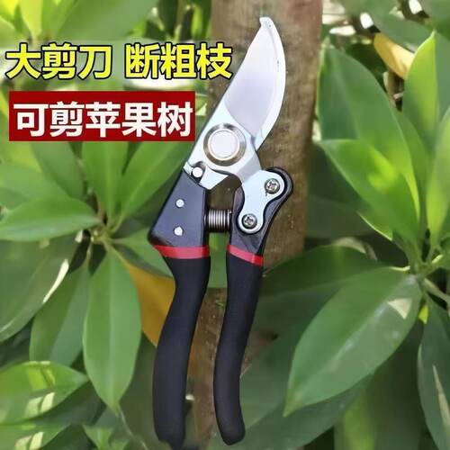 【清仓甩卖】原装SK5强力修枝剪枝果树粗枝树枝专用剪子园艺剪子