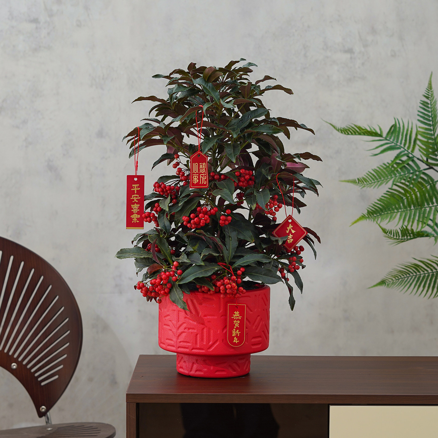 富贵籽盆栽办公室内客厅黄金万两年宵花带果喜庆好养花卉绿植盆景,鲜花速递/花卉仿真/绿植园艺,绿植,淘宝优惠券,粉丝福利购,淘宝优惠卷
