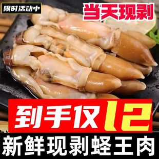 蛏子肉鲜活超大手剥蛏王肉竹节蛏去沙冷冻海圣子肉竹蛏王商用海鲜