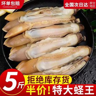 蛏子王新鲜速冻蛏王肉冷冻蛏子肉海鲜水产鲜活圣王肉竹蛏肉贝类