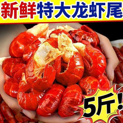【新日期】大号龙虾尾新鲜冷冻鲜活麻辣小龙虾商用整箱批发