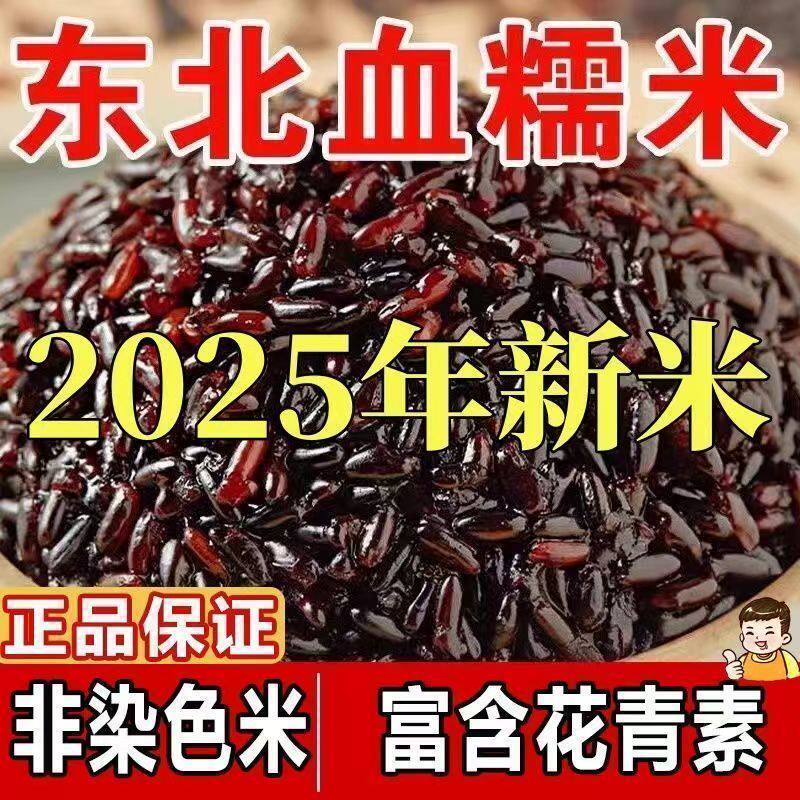 2025年东北五常有机血糯米黑糯米包粽子酿酒糯米粥饭团小糖人专用