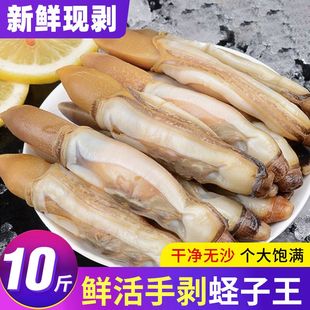 新鲜现剥蛏子肉 大竹蛏子鲜活水产熟食海圣子蛏子王冷冻火锅食材