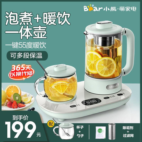 小熊养生壶家用办公室小型花茶壶