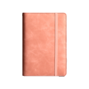 现金存钱本可放只放现金活页可拆卸龙年纪念钞收纳袋大容量理财防水保护收纳册包收藏册儿童纸币存钱夹存放袋