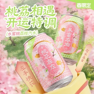 珍珍水蜜桃荔枝风味果汁饮料