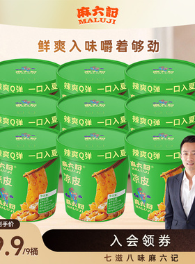 麻六记凉皮340g*9桶方便速食免煮免冲泡即食夜宵即拌即食懒人夜宵