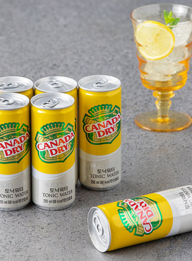 韩国进口CANADA DRY薄荷味碳酸饮料奎宁水汤力水解腻250ml*24瓶