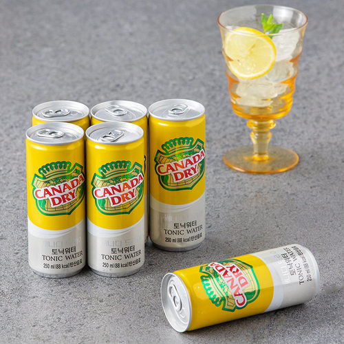 韩国进口CANADA DRY薄荷味碳酸饮料奎宁水汤力水解腻250ml*24瓶