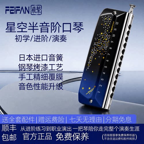 飞繁仰望星空半音阶口琴YW48易吹
