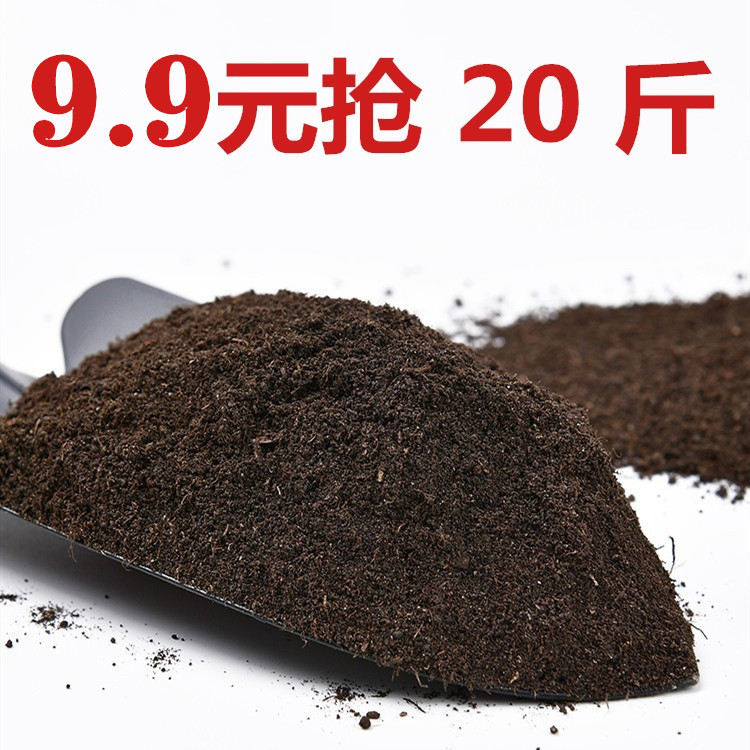 黑土花土种植土腐殖土草