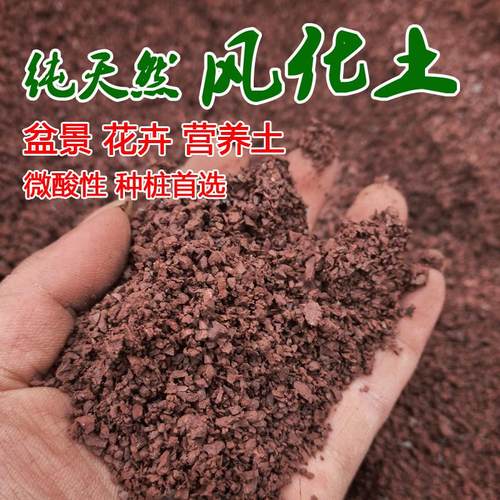 天然风化土盆景专用小叶簕竹土金弹子兰花多肉酸性红土种植营养土