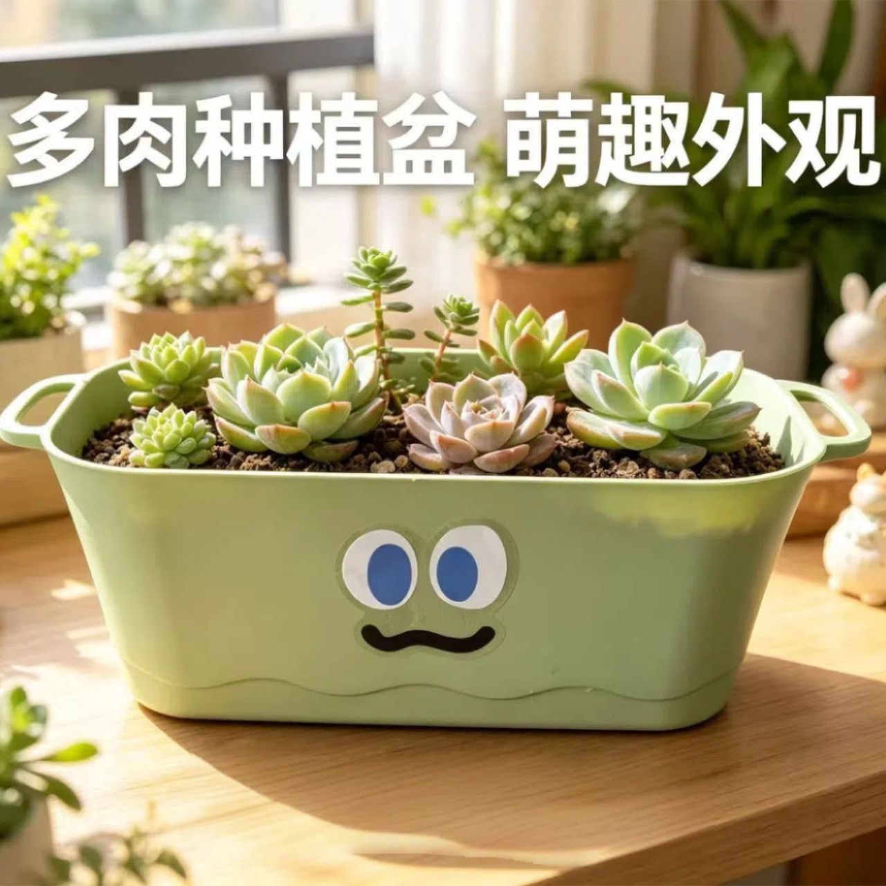 可爱卡通花盆种多肉超治