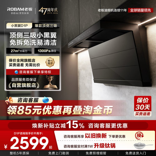 热销爆款！老板小黑翼D1P大吸力