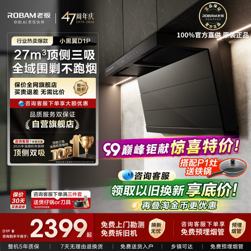 热销第一！老板小黑翼D1P升级款