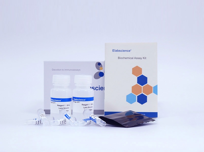 Elabscience®乳酸脱氢酶(LDH)比色法测试盒(WST-8法)E-BC-K766-M