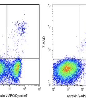Elabscience AnnexinV-APC/Cyanine7/7-AAD细胞凋亡检测E-CK-A230