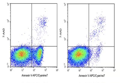 Elabscience AnnexinV-APC/Cyanine7/7-AAD细胞凋亡检测E-CK-A230
