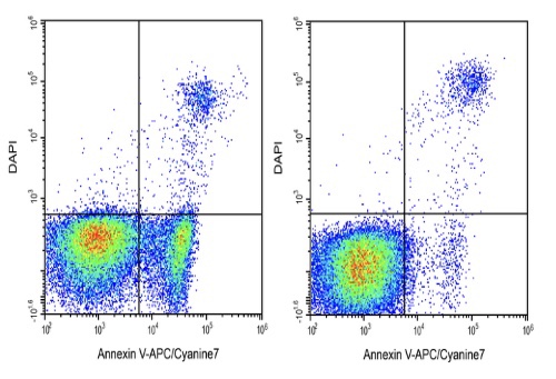 Elabscience Annexin V-APC/Cyanine7/DAPI细胞凋亡检测E-CK-A270