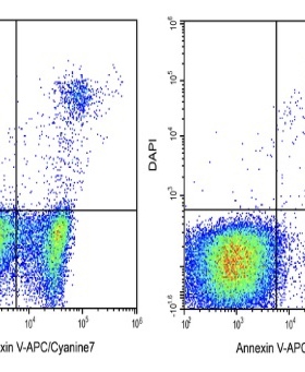 Elabscience Annexin V-APC/Cyanine7/DAPI细胞凋亡检测E-CK-A270