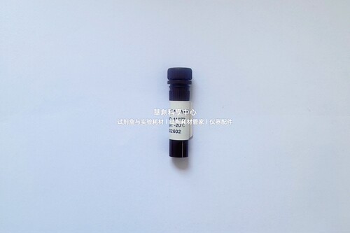 BIOG T7 RNA探针标记试剂盒 高活性的RNA聚合酶可高效制备RNA探针