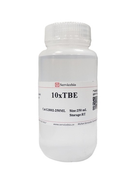 Servicebio 10×TBE 250mL 核酸电泳缓冲盐溶液 Tris-Borate-EDTA