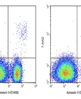 Elabscience®AnnexinV-EV450/7-AAD细胞凋亡检测试剂盒E-CK-A234